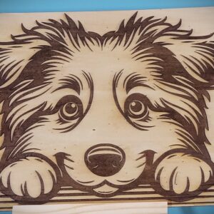 Australian Shepherd Wall Art